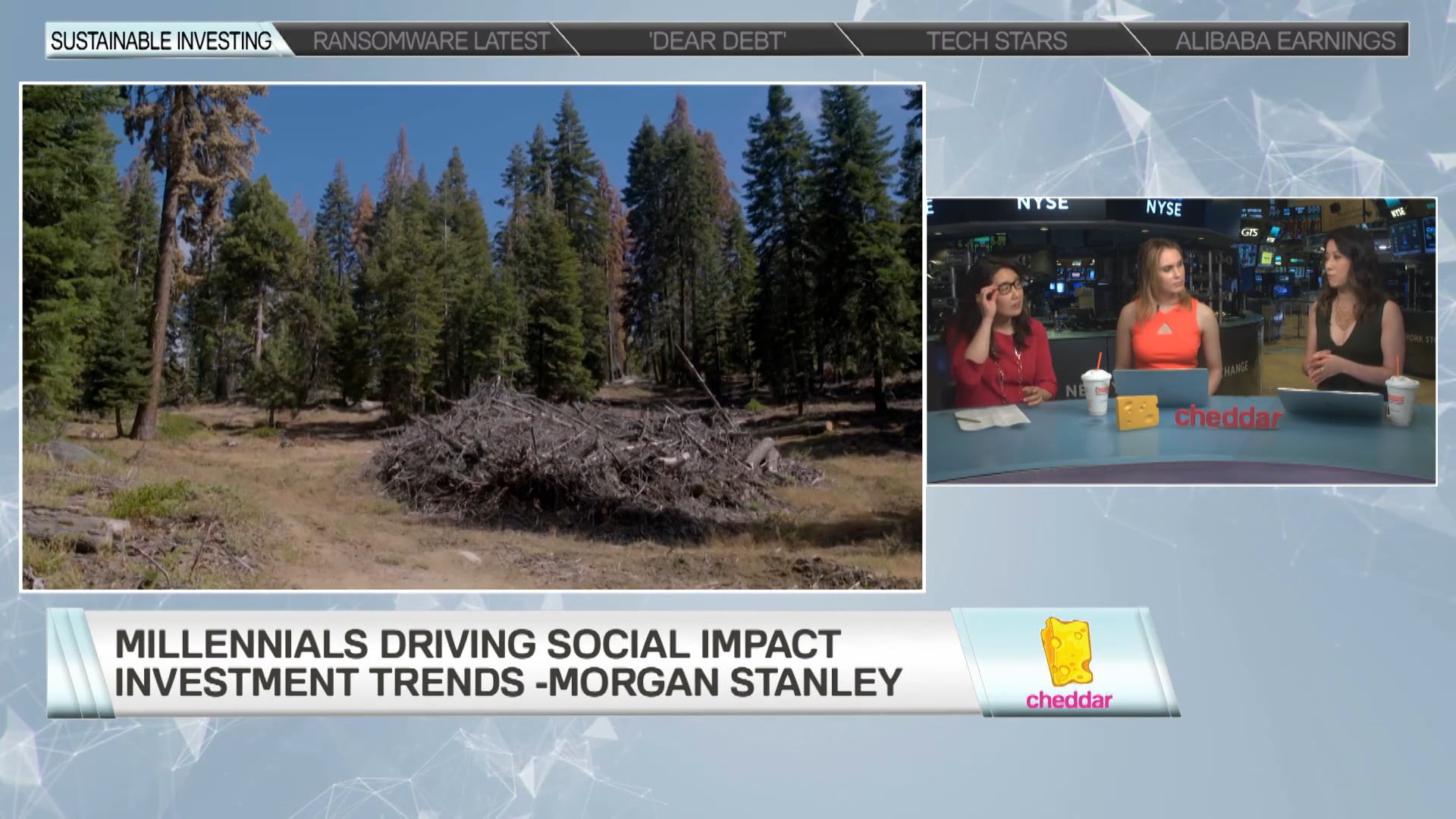 Morgan Stanley's Audrey Choi on Sustainable Investing