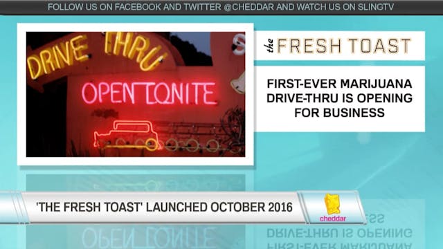 The Fresh Toast's Content Strategy