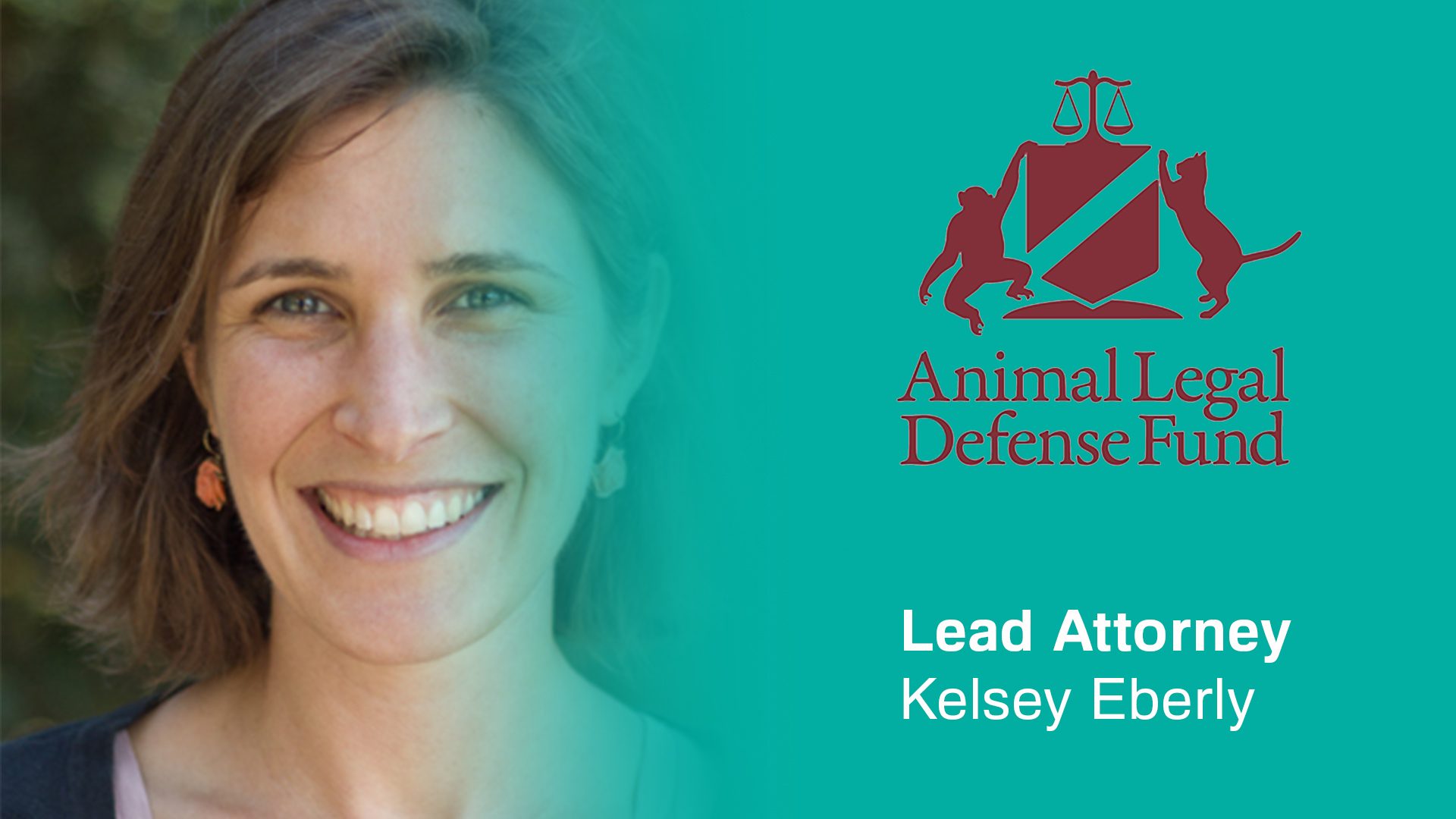 Fighting for Animals in Court