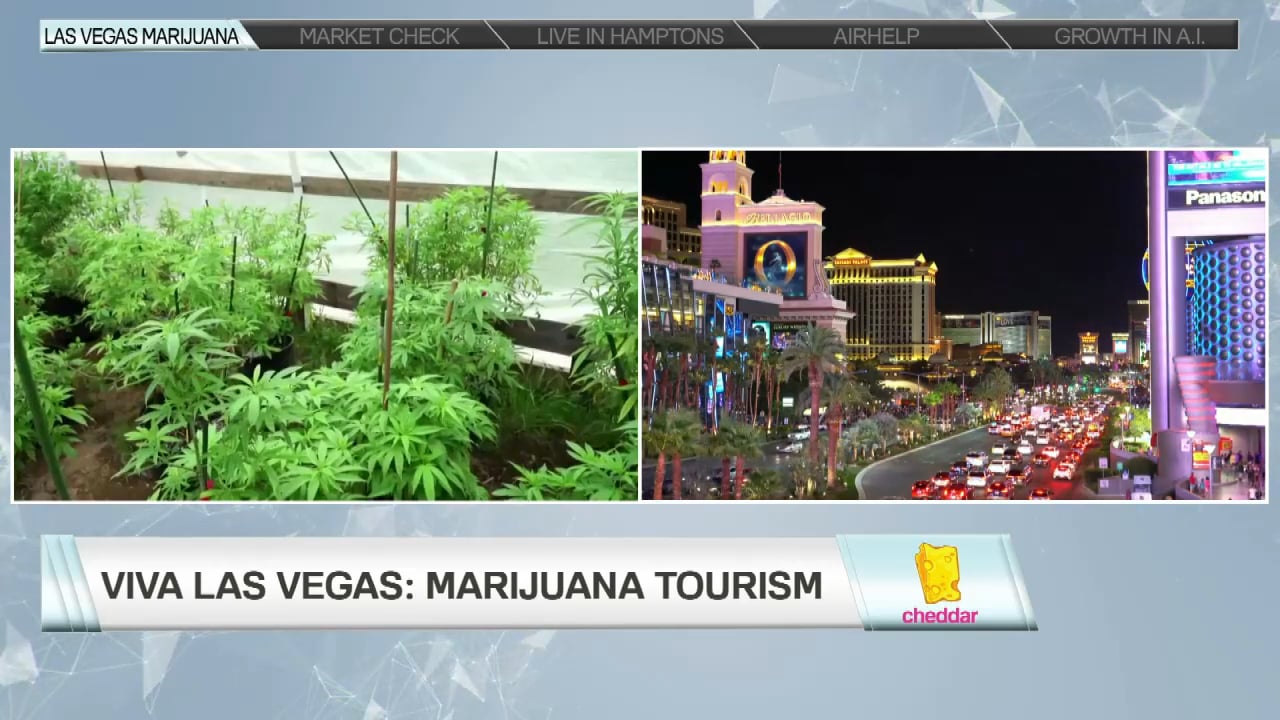Green Fireworks and Greenhouse Weddings- Vegas Celebrates Legal Weed