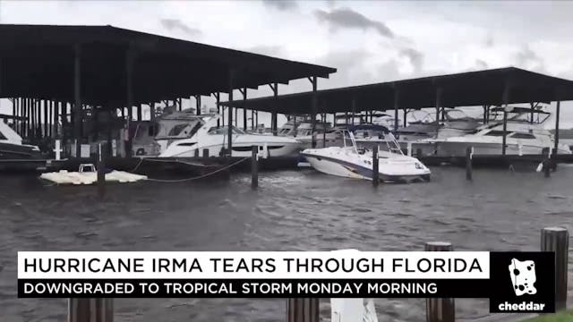 What's Next for Irma?