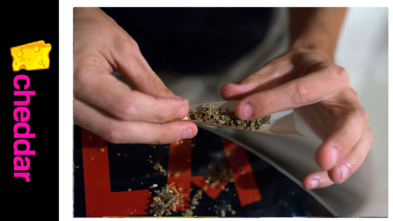 How You Can Wake and Bake with this Cannabis Coffee