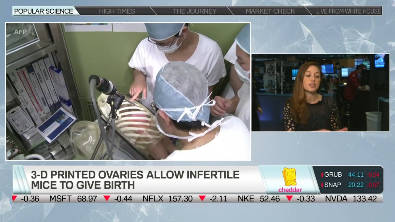 3D-Printed Ovaries Allow Infertile Mice to Give Birth