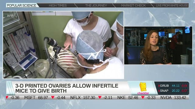 3D-Printed Ovaries Allow Infertile Mi...