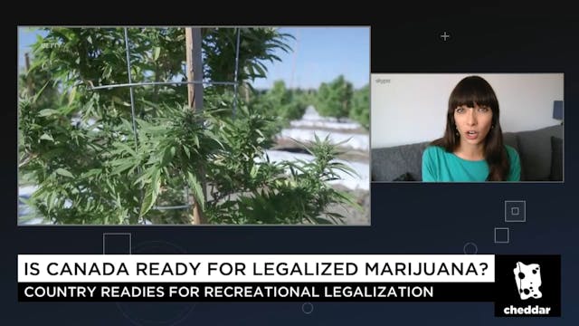 The Debate Over Pot in Canada