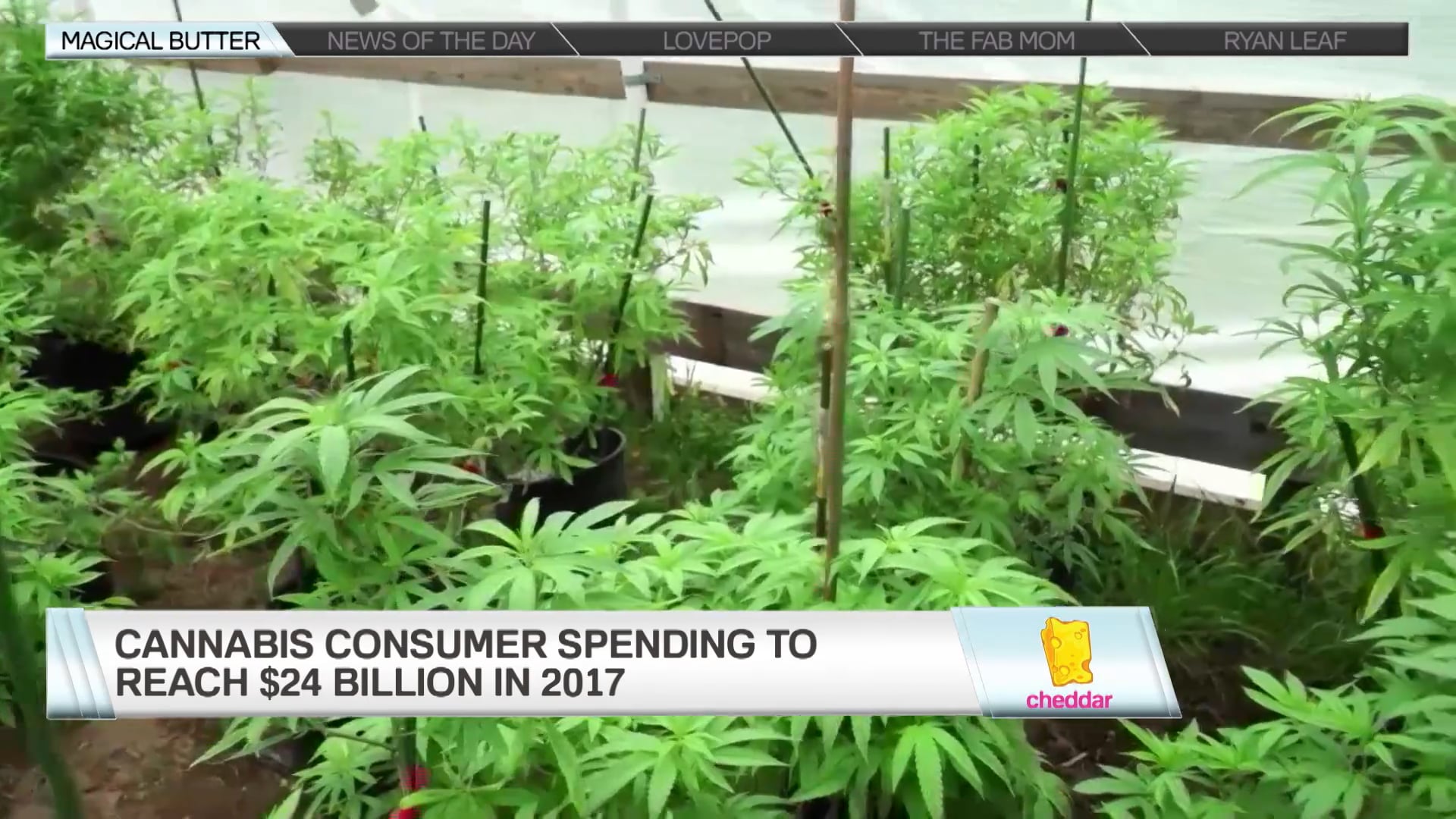 A5c72d29 4766 4eb4 8a43 7861a36486e0