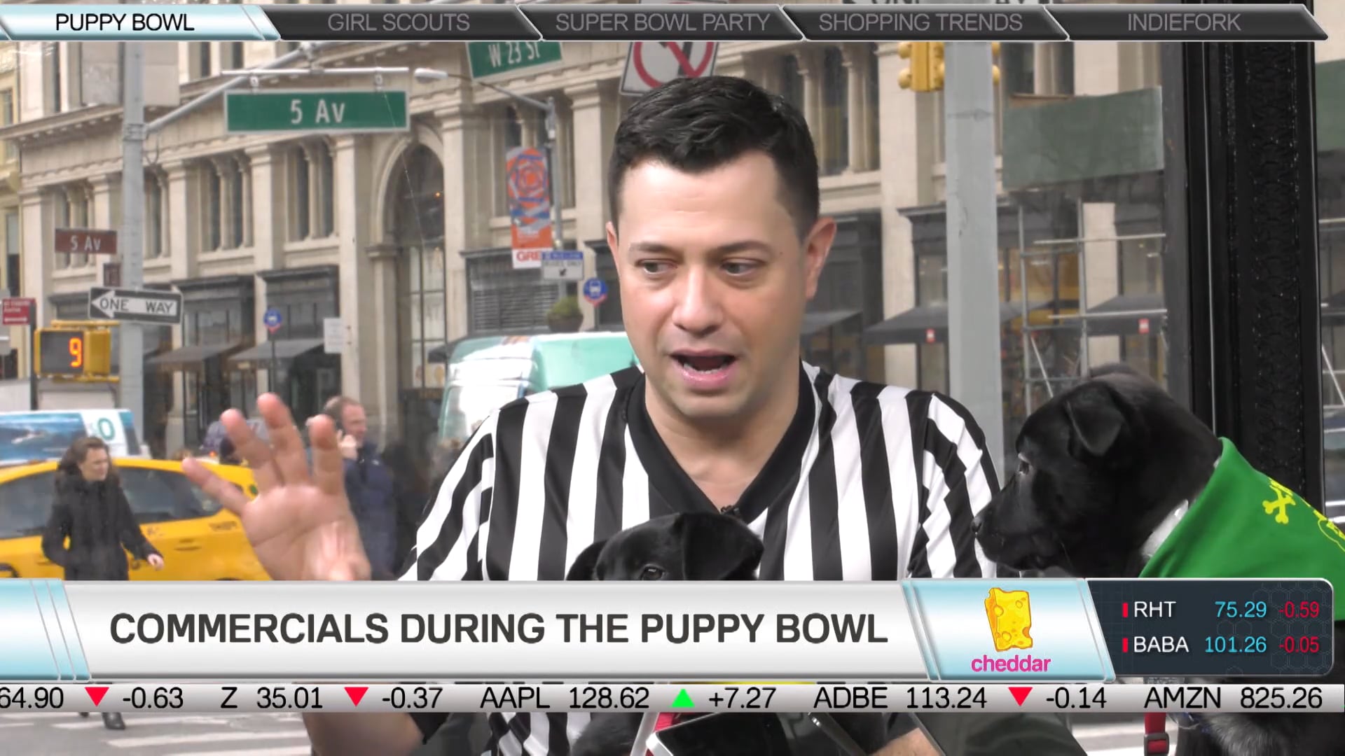 Meet Some Future Puppy Bowl Pups!