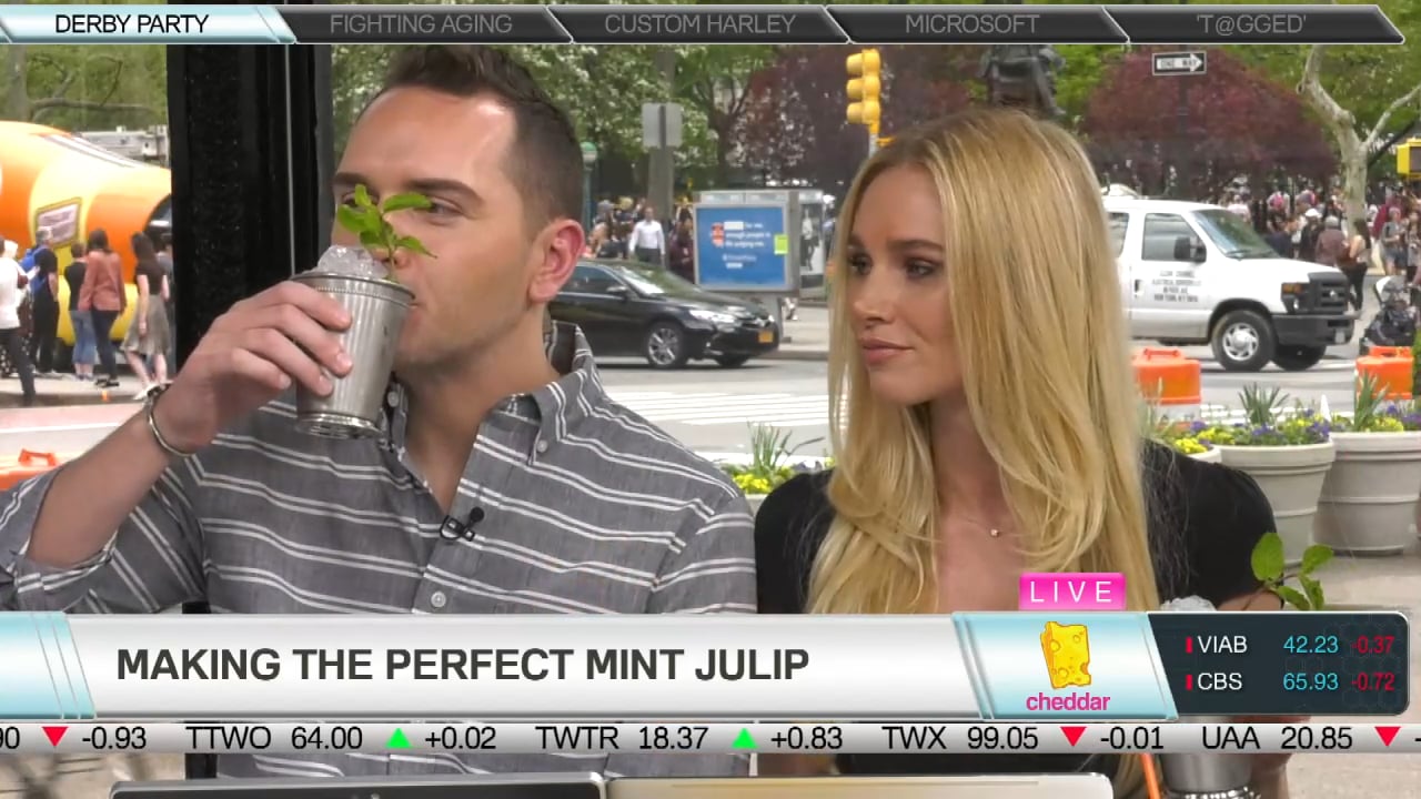 Making the Perfect Mint Julip