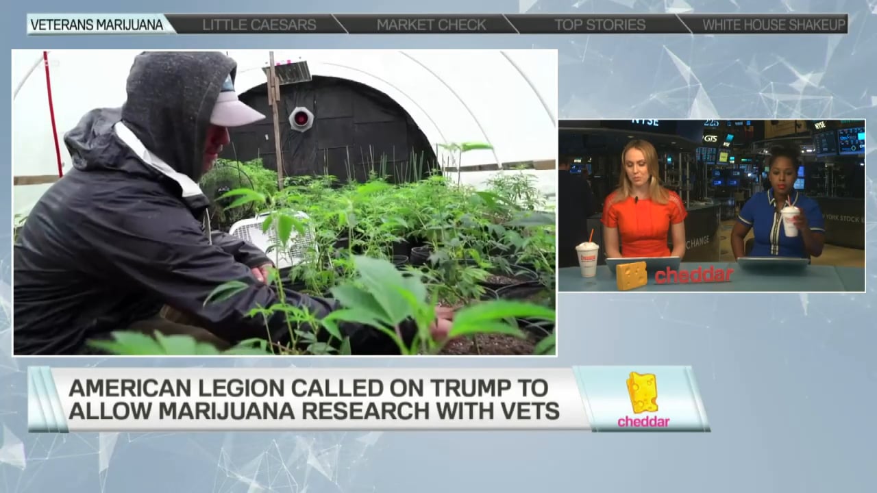 American Legion Calls on Trump to Support Marijuana Research
