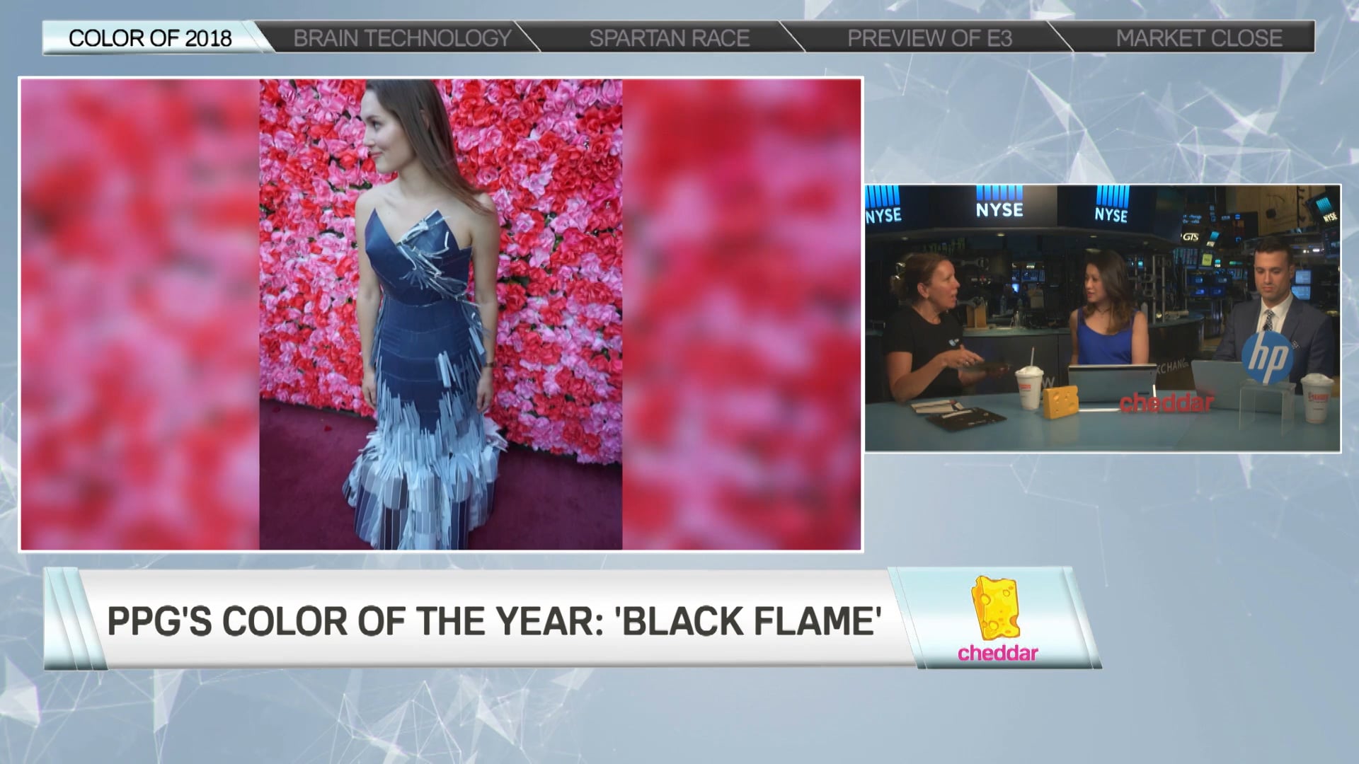 Dee Schlotter - Senior Color Marketing Manager, PPG Paints