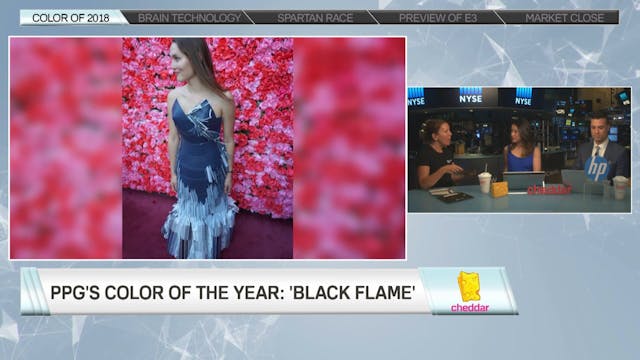 Dee Schlotter - Senior Color Marketin...