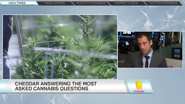 High Times: These Are the Cannabis St...