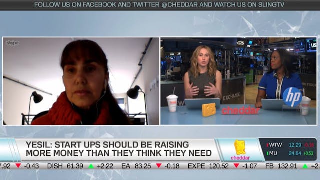 Magdalena Yesil on diversity amongst ...