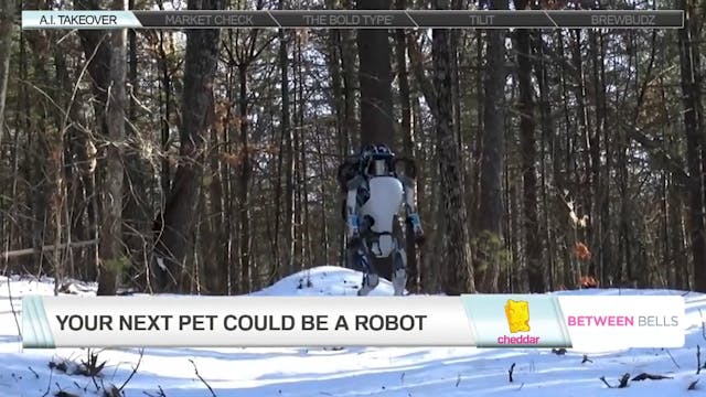 Your Next Pet Could Be a Robot