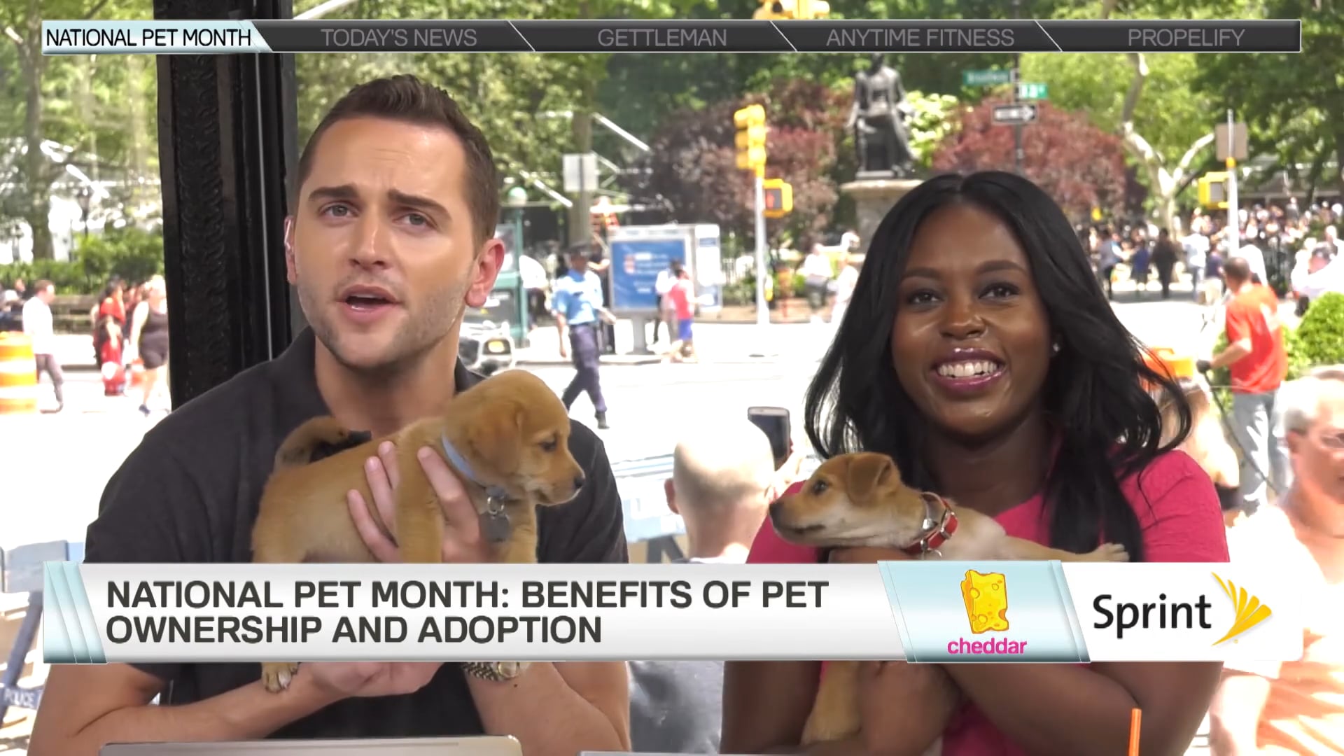 Cdf0e6d2 f071 48d1 aac3 9c7d7ab8873e