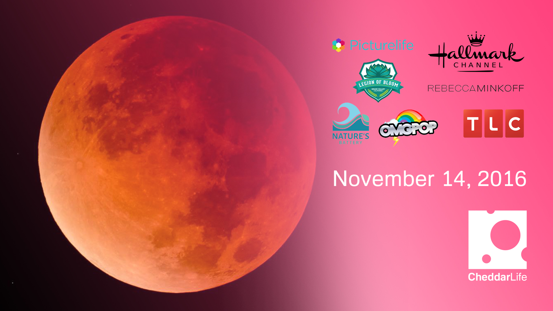 Cheddar Life November 14, 2016