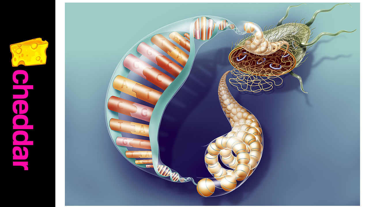 Spit in a Tube, Get Your Life History