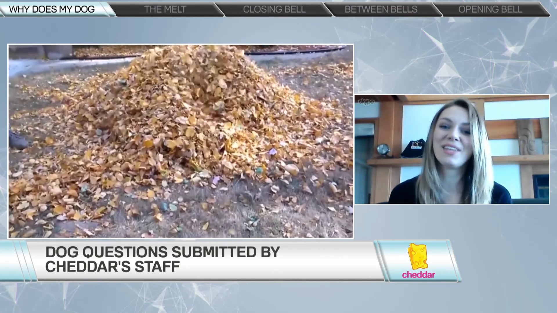 Aly DelaCoeur	"Human Trainer for Dogs" and founder of Why Does My Dog