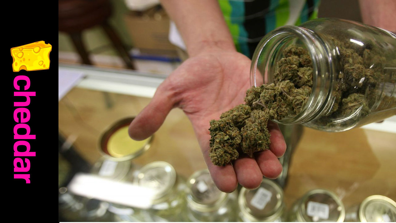 LeafLink - Aiming to Streamline How Dispensaries Order Product