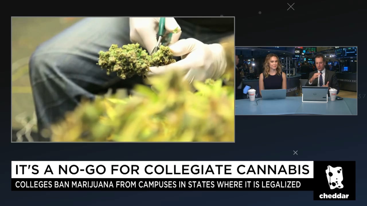 The Cannabis Battle Brewing on College Campuses