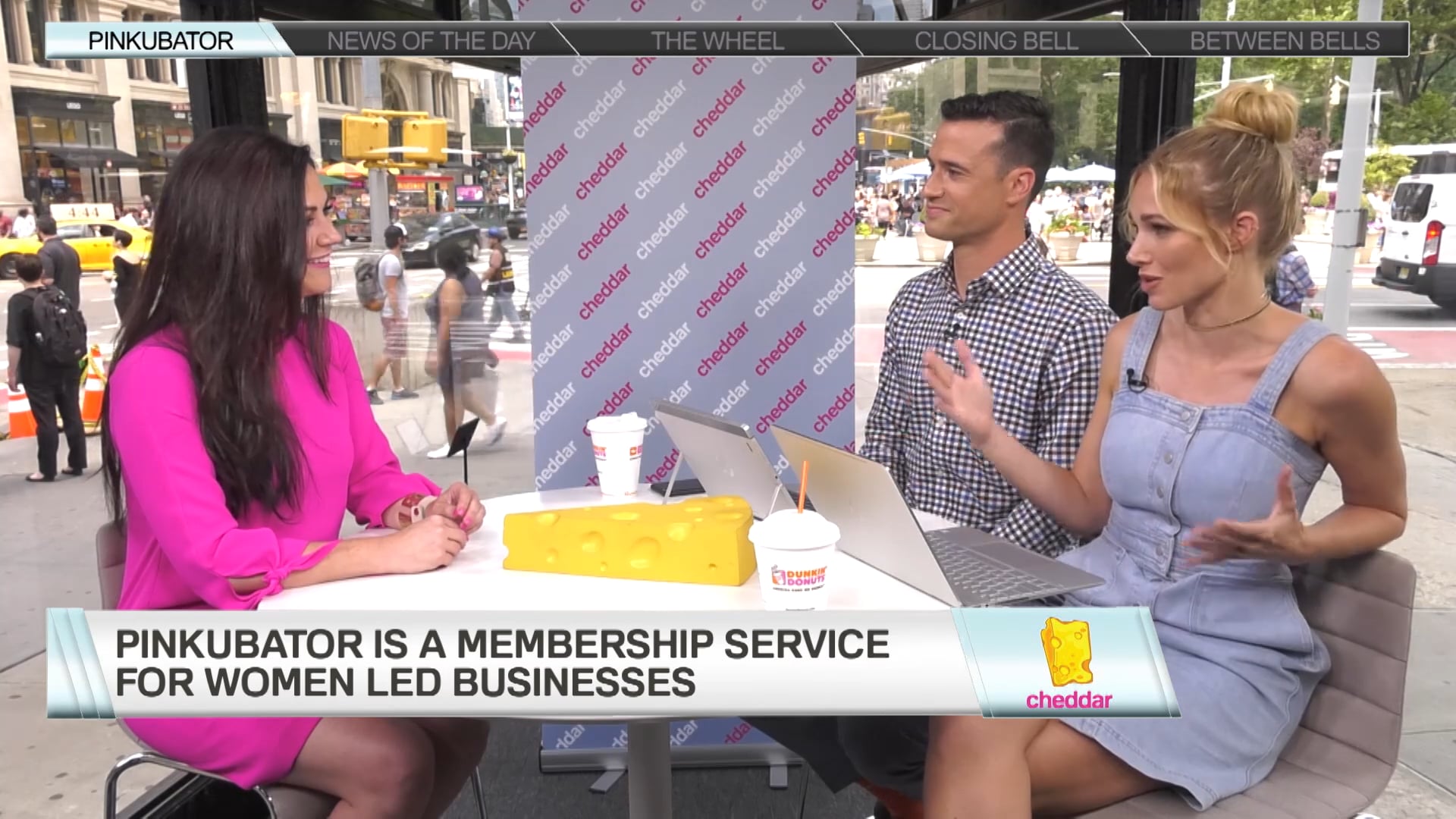 The Pink Ceiling Plans to Close Venture Capital's Funding Gender Gap