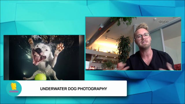 Seth Casteel teaches dogs how to swim!