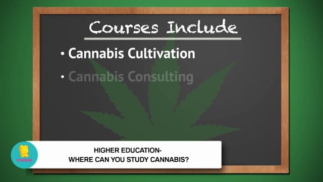 Here are the VR games you should play...