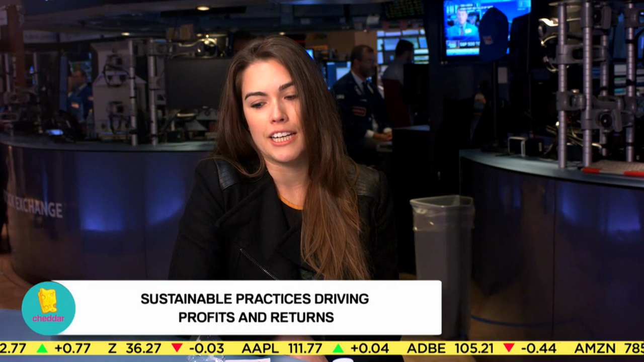 WSJ's Miriam Gottfried Discusses Best Buy's Fight Against Online Retailers