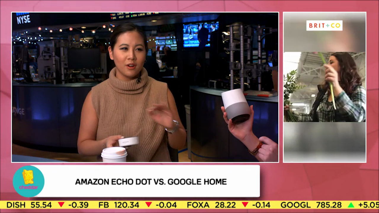 Brit + Co Compares the Amazon Echo Dot to Google Home