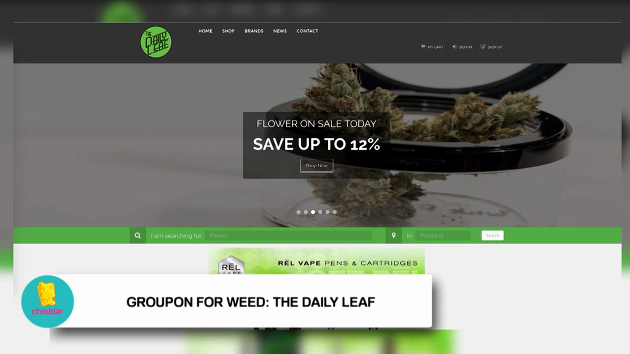 Zoe Wilder Discusses Favorite Marijuana Products