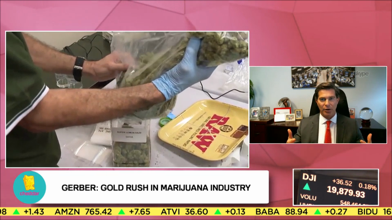 Ross Gerber's Top Stocks to Look Out for in 2017