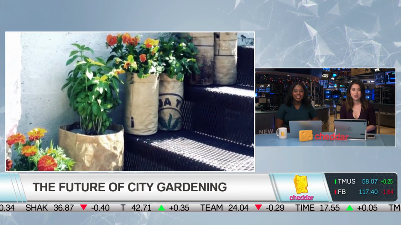 Chad Corzine on the Future of Urban Agriculture