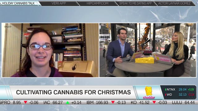 High Times' Recommended Weed Edibles