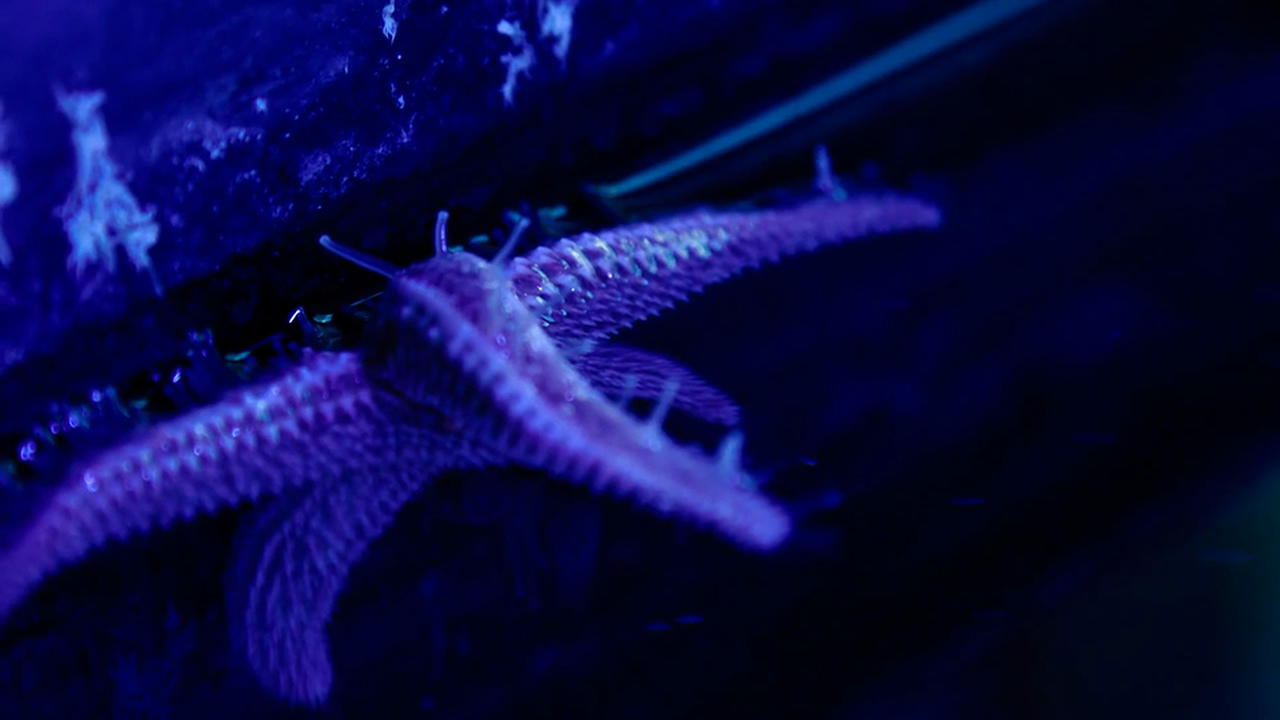 Future of Biohacking