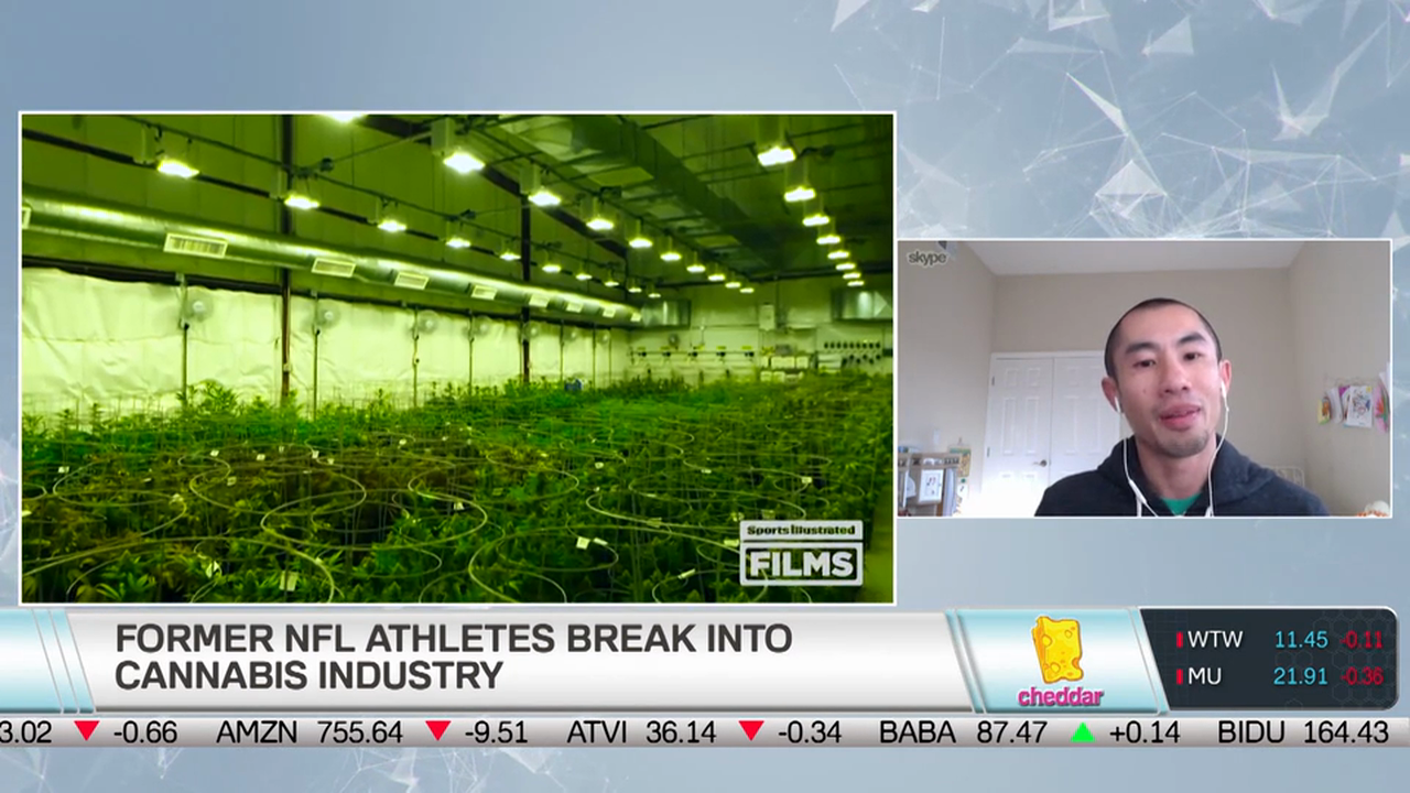Will Major Sports Teams Start to Change Their Views on Cannabis?