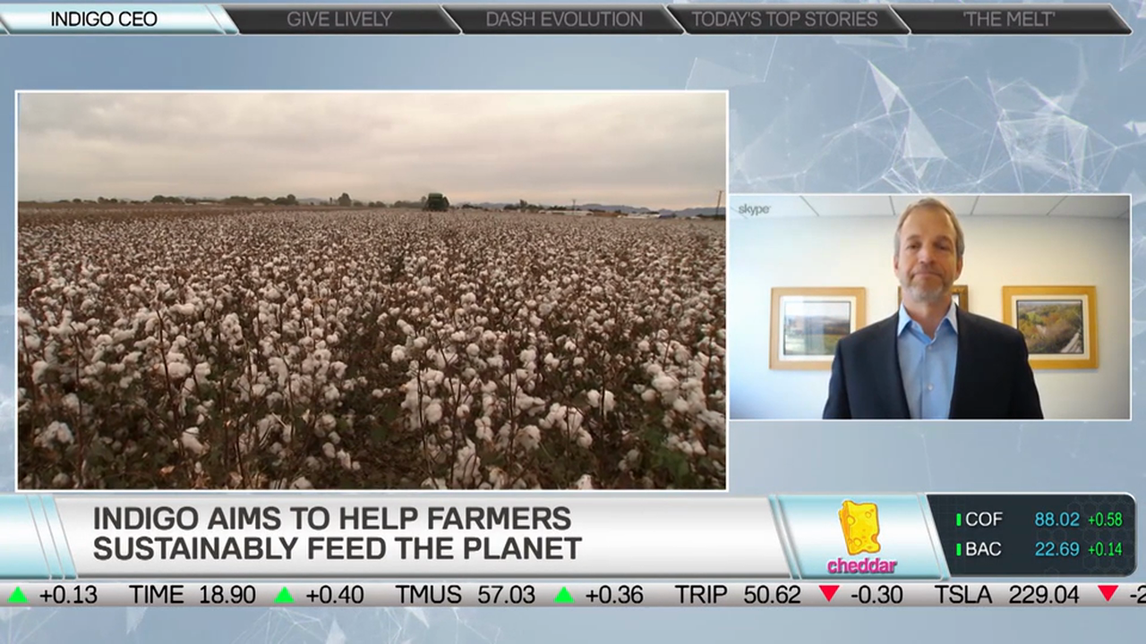 Indigo's David Perry on Optimizing Plant Health