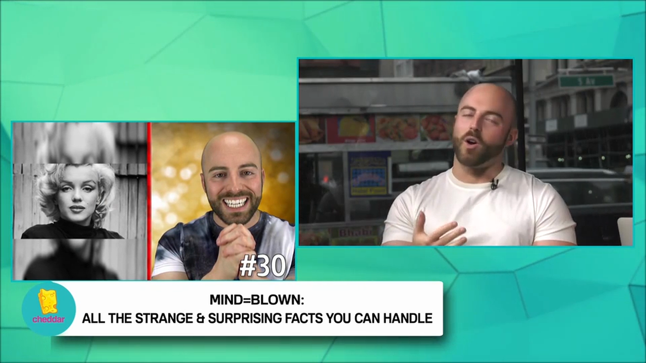 Some amazing facts by famed Youtuber Matt Santoro