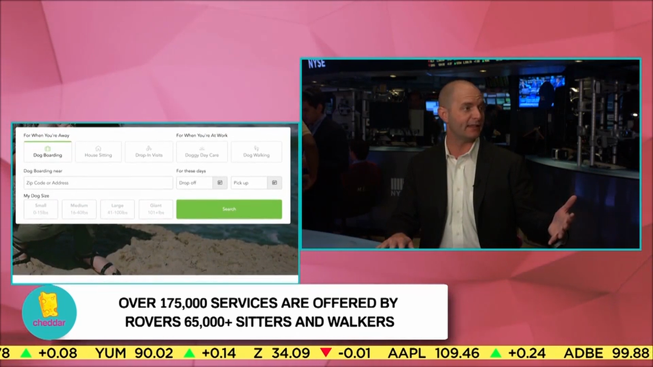 ROVER CEO AARON EASTERLY Discusses how the animal care network helps its users
