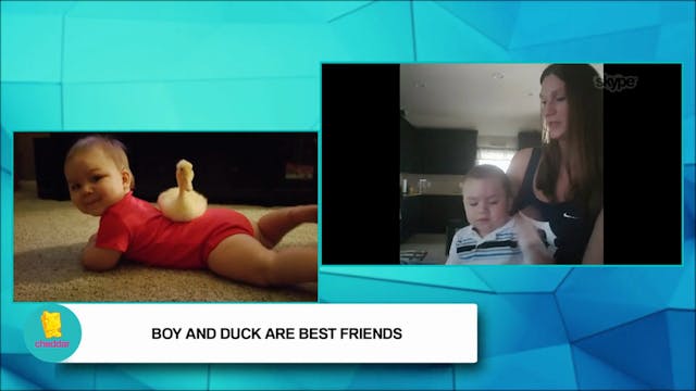 Mr. T and Bee: A Boy and A Duck Who a...