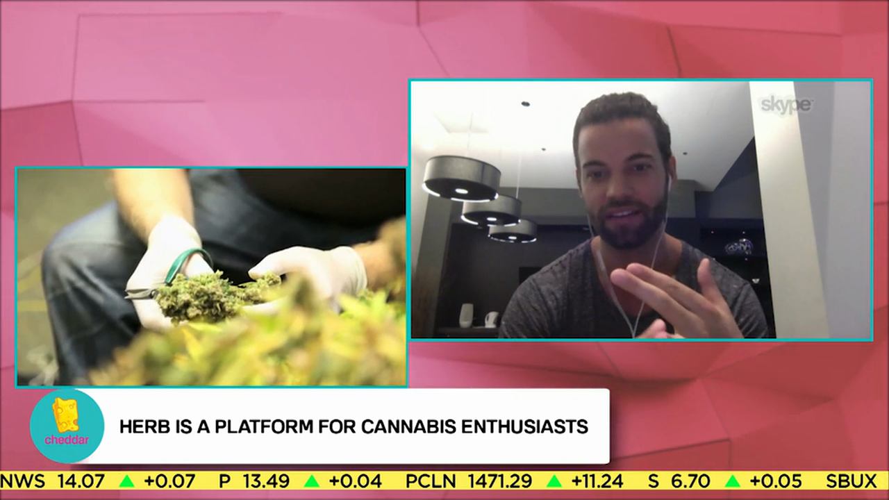 Herb's Educational Approach To The Stigma Around Marijuana