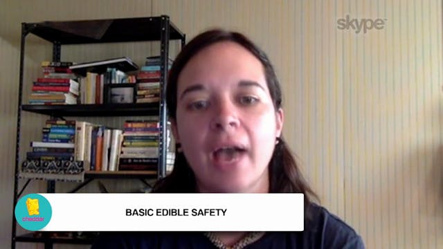 How to eat Ganja Edibles