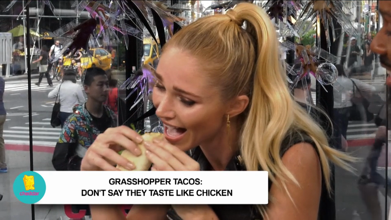 Grasshopper tacos from NYC's The BLACK ANT