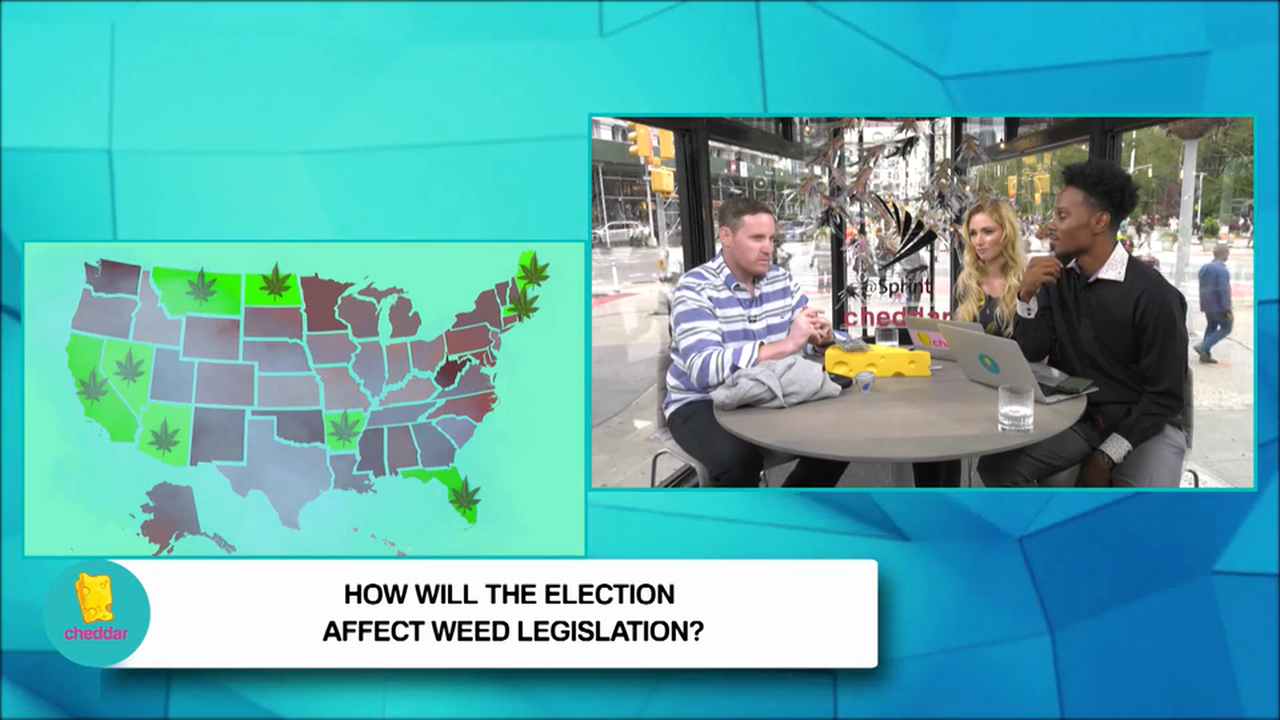 What's up in the World of Weed?