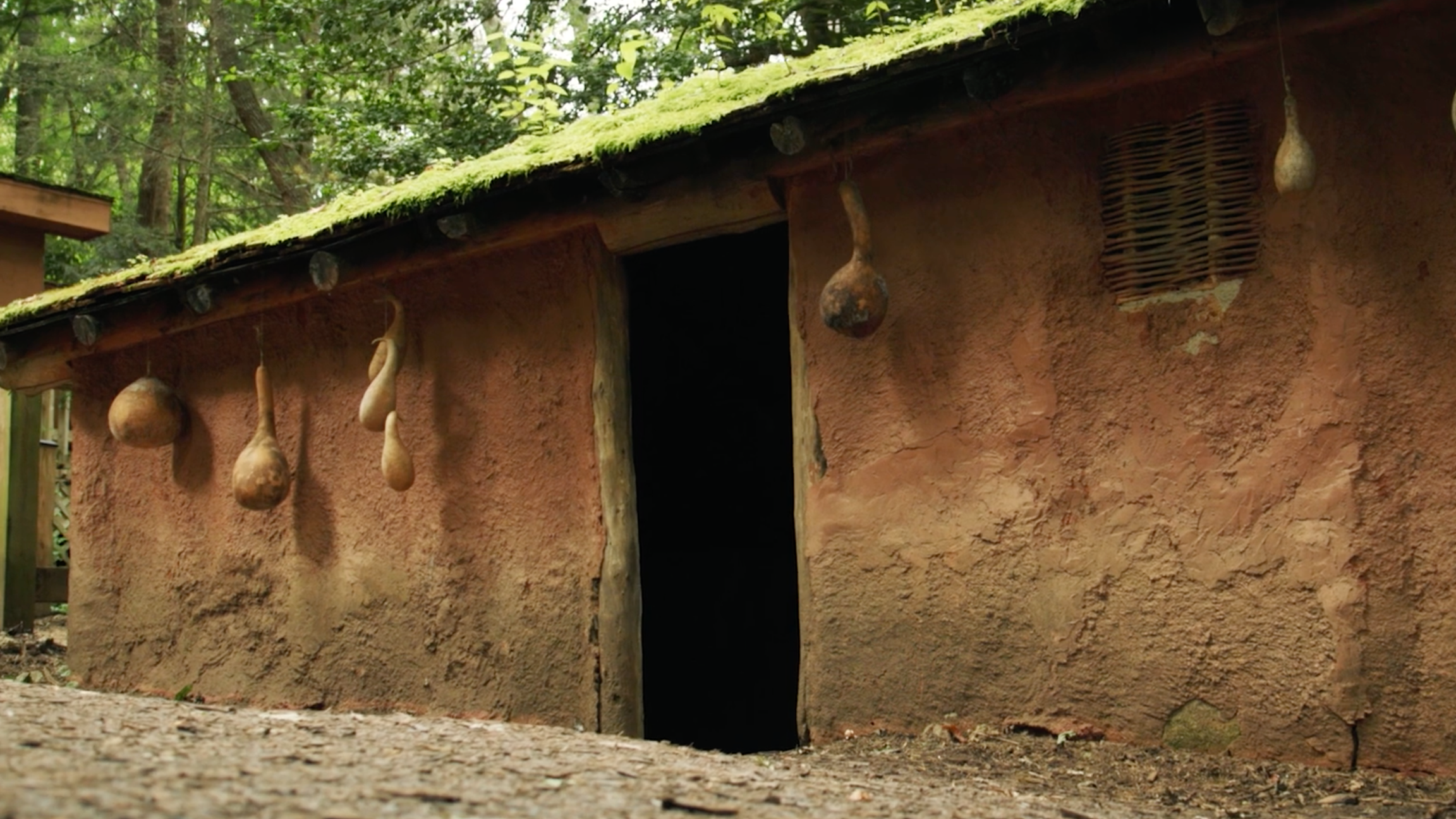 Village Storage House