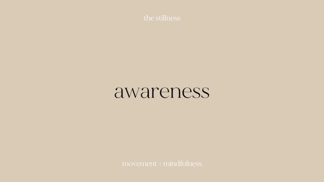 the stillness - awareness (11 mins)