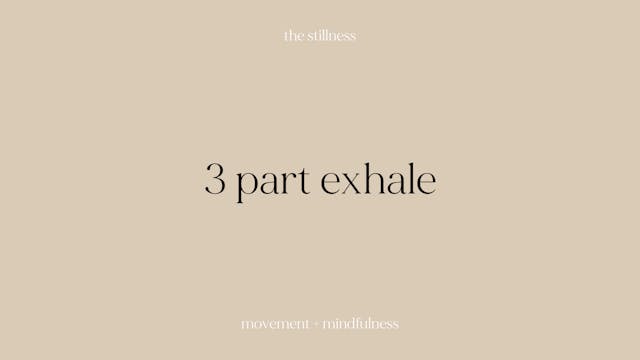 the stillness - 3 part exhale (7 mins)