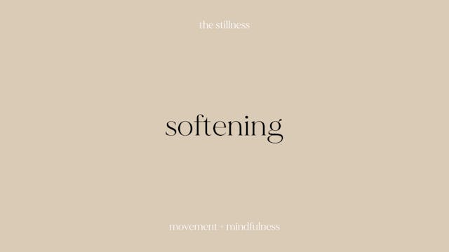 the stillness - softening (9 mins)