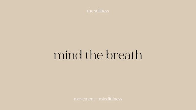 the stillness - mind the breath (8 mins)