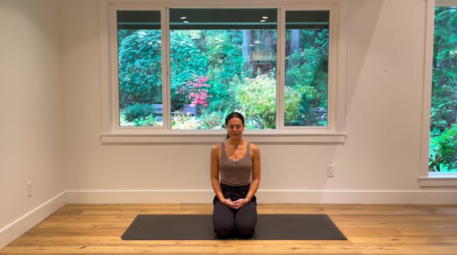 the stillness • workday series - medi...