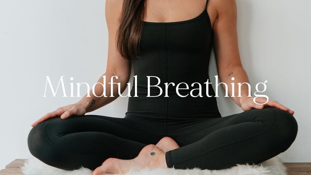 Mindful Breathing